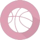 https://img.npgwm.com/img/basketball/team/72e72eddf08b744ccfef956833fe08c4.png