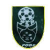 https://img.npgwm.com/img/football/team/12b8da6e816dbb52eef7ed7e5e831445.png