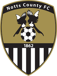 https://img.npgwm.com/img/football/team/9e230c89a846b9cadf91884918fa7611.png