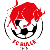 https://img.npgwm.com/img/football/team/b201265fa89720bf8cd8ef95549a4738.png