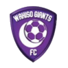 https://img.npgwm.com/img/football/team/c5a548d374c3bb29f1190bf670442c90.png